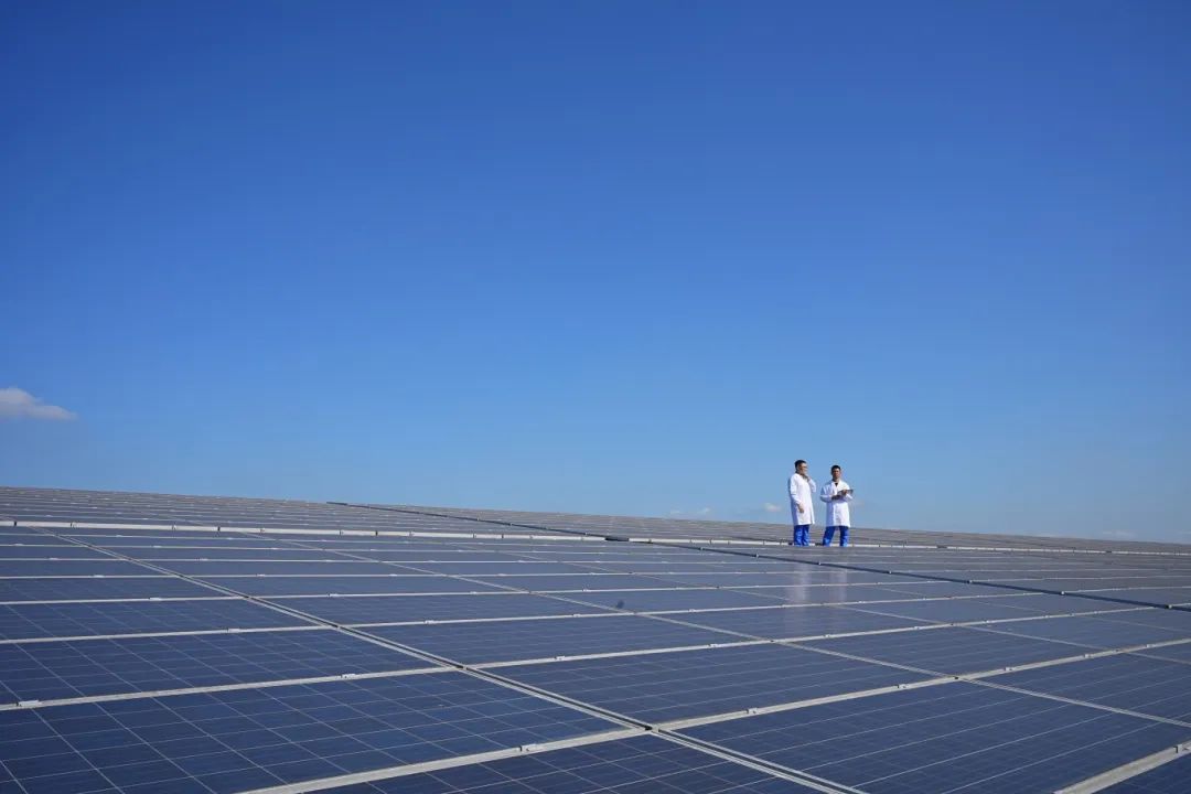 blb百乐博-非凡设想